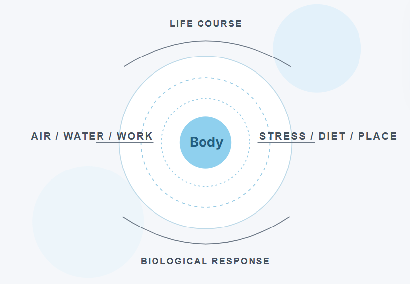 The exposome: attempting to measure what genes don't tell us about health